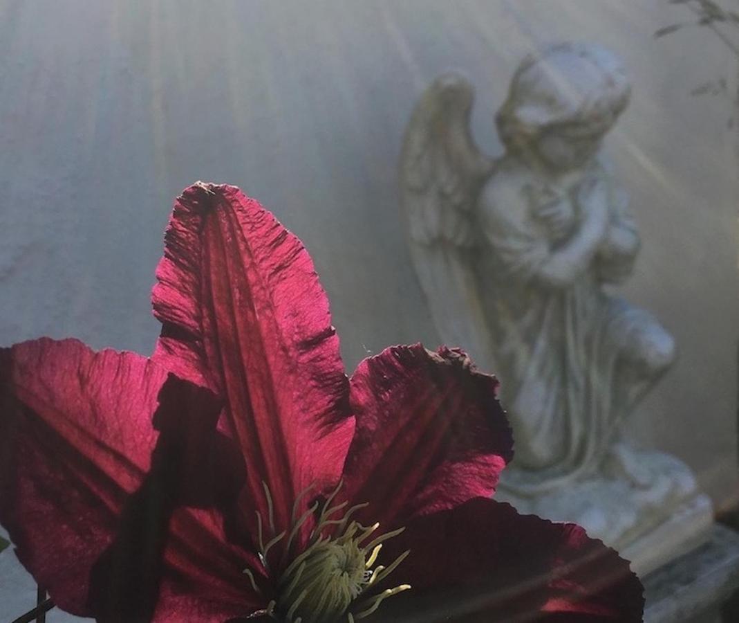 Kastanjegarden Pa Stenshuvud Kivik Zewnętrze zdjęcie