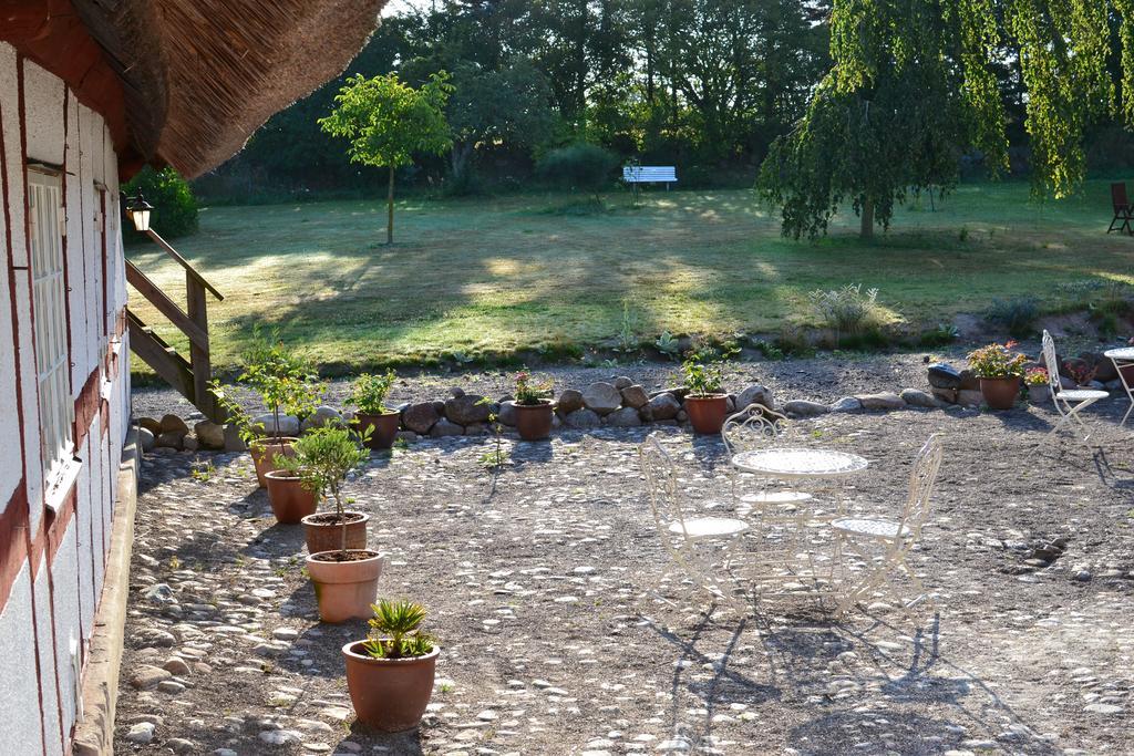 Kastanjegarden Pa Stenshuvud Kivik Zewnętrze zdjęcie