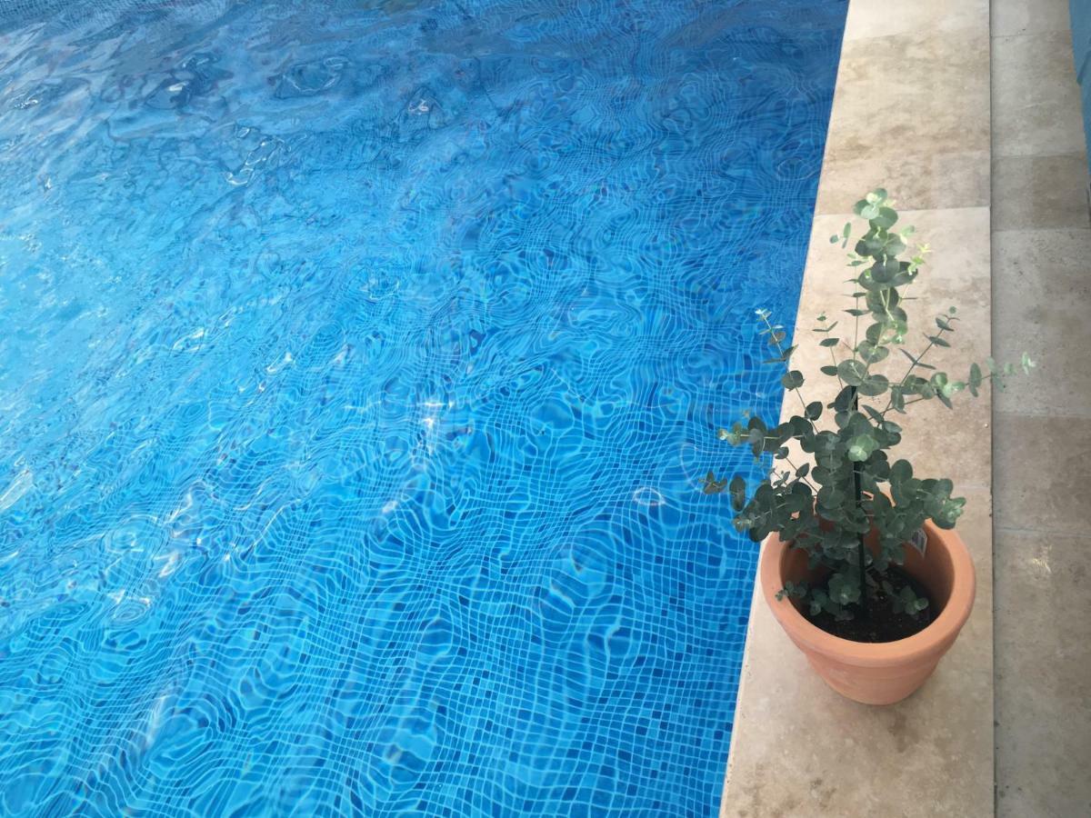 Kastanjegarden Pa Stenshuvud Kivik Zewnętrze zdjęcie